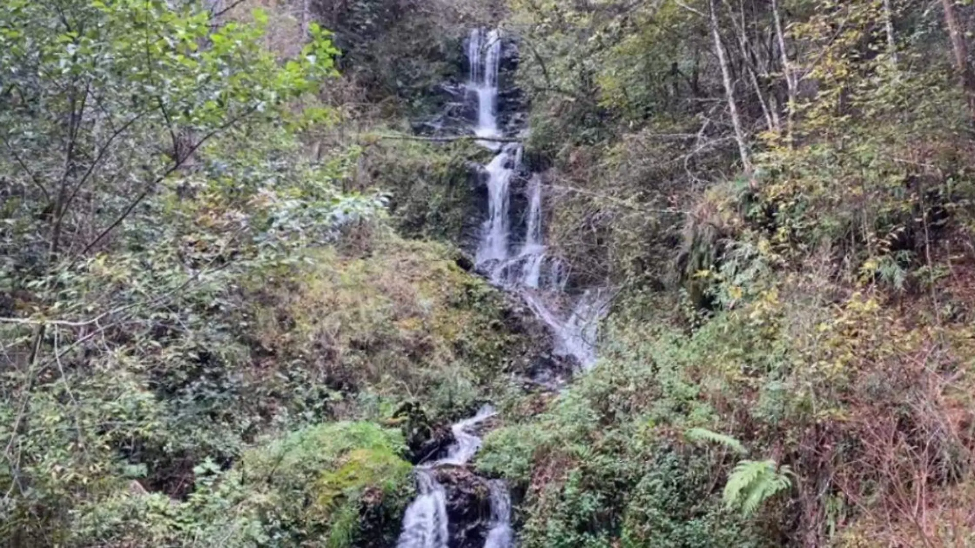 Cascadas Rancho Cabras, date un respero y lánzate a la región de Tehuacán